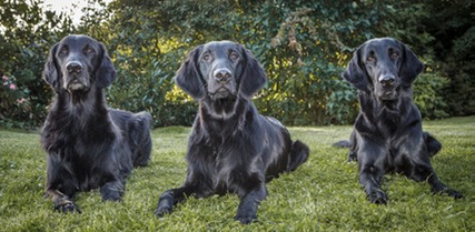 001 MG 9619 Thomas Burkhard.jpg